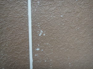 DSC01130