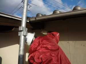 １月２４日 (29)